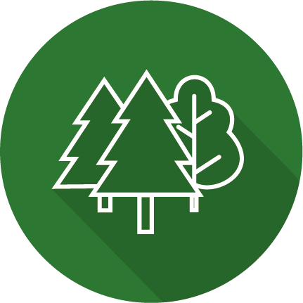 icon forêt