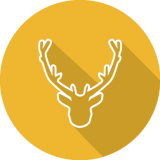 NatureQuebec_icone-cercle-biodiversite