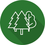 NatureQuebec_icone-cercle-foret