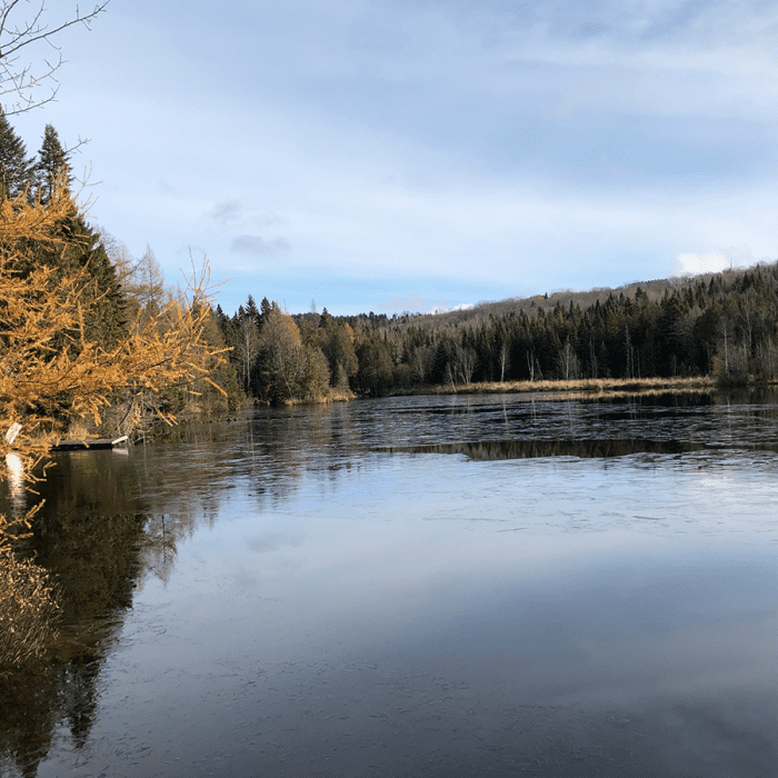 Plan directeur lac forestier