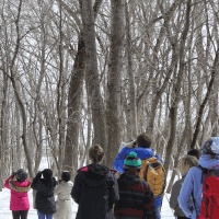 communature_4