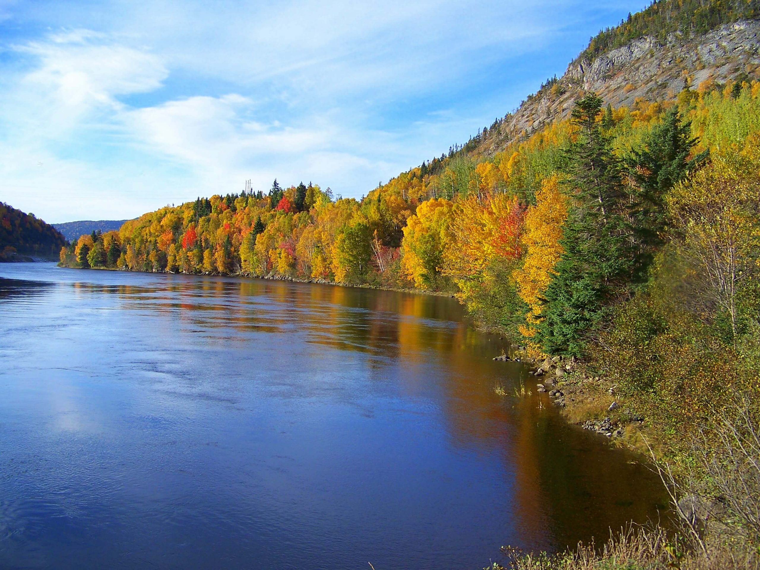 Communiqué :  DÉBAT DE LA CIRCONSCRIPTION DE QUÉBEC CONSACRÉ À L’ENVIRONNEMENT EN VUE DU SCRUTIN FÉDÉRAL DE 2019
