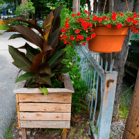 ruelles1