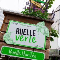 ruelles2