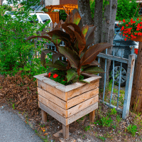 ruelles4