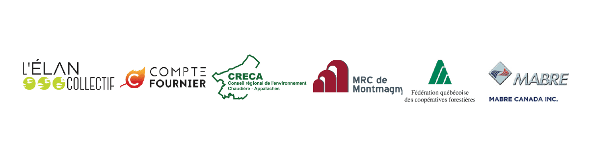logo_chaudiere_Plan de travail 1