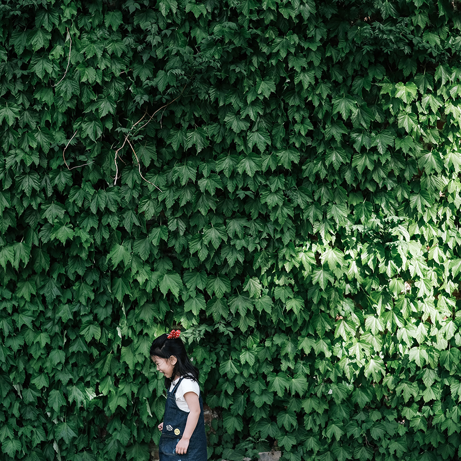 Communiqué :  Nature Québec veut sensibiliser les plus jeunes pour la rentrée