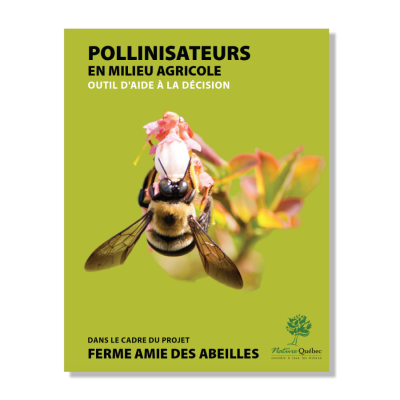 Polinisateurs