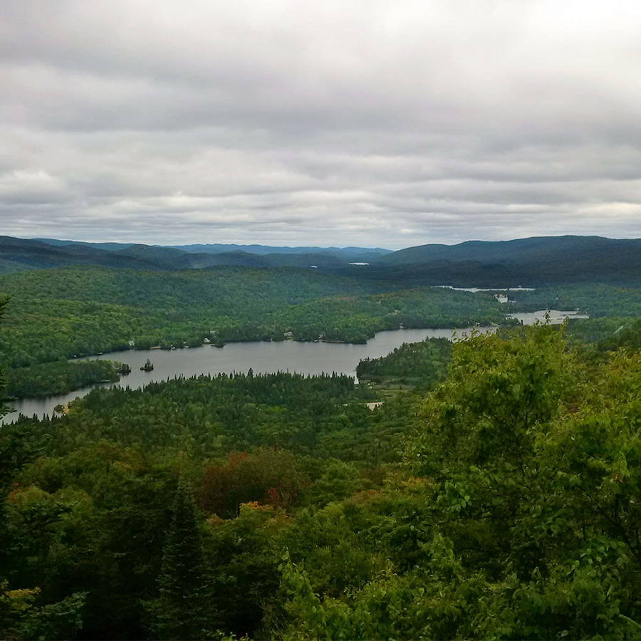Communiqué - Le MFFP ne doit pas ouvrir la porte à la motoneige dans les parcs nationaux, disent Nature Québec et la SNAP Québec