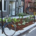 Publications | Nature Québecvégétal infrastructures urbaines
