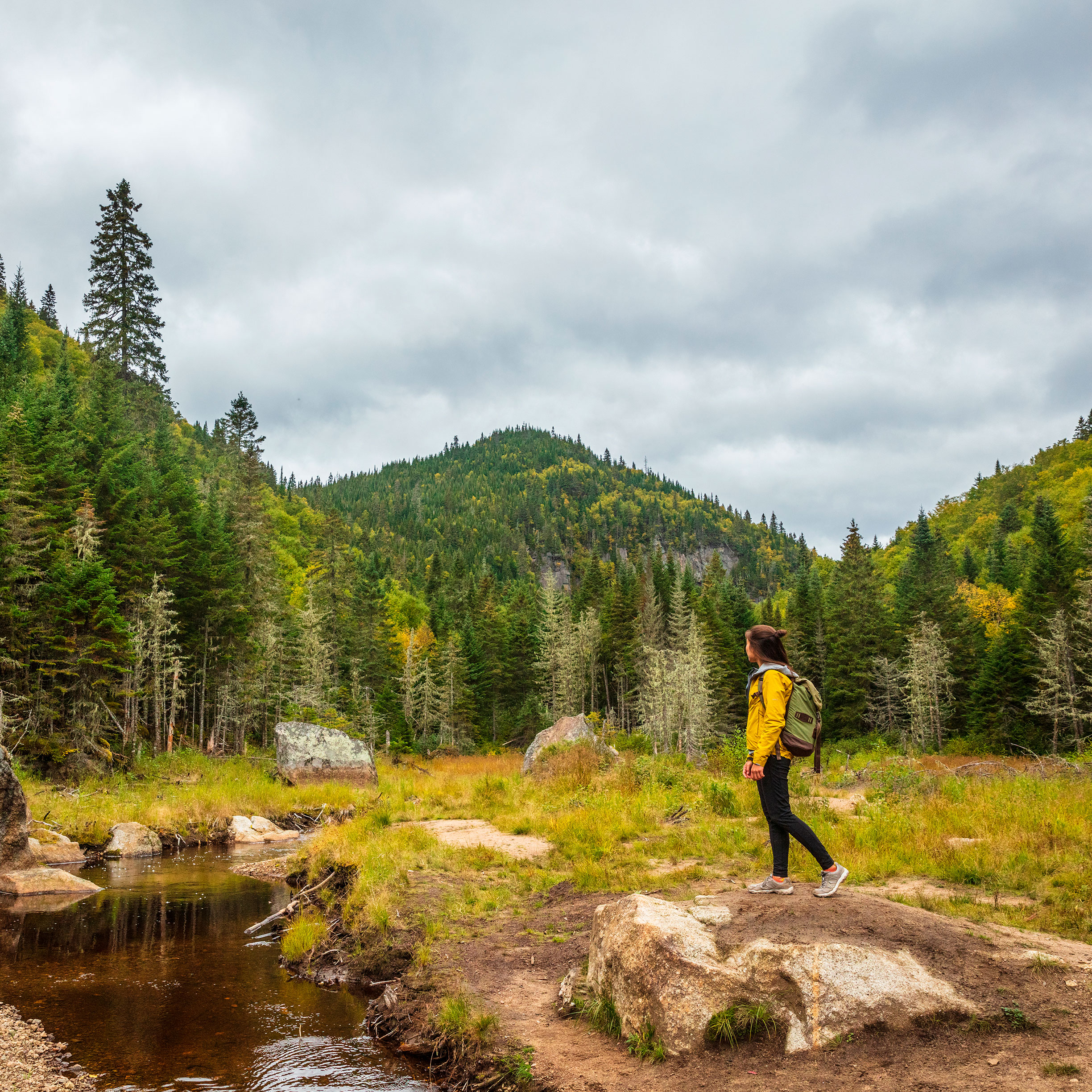 Communiqué -  Nature Québec demande la réouverture des parcs nationaux