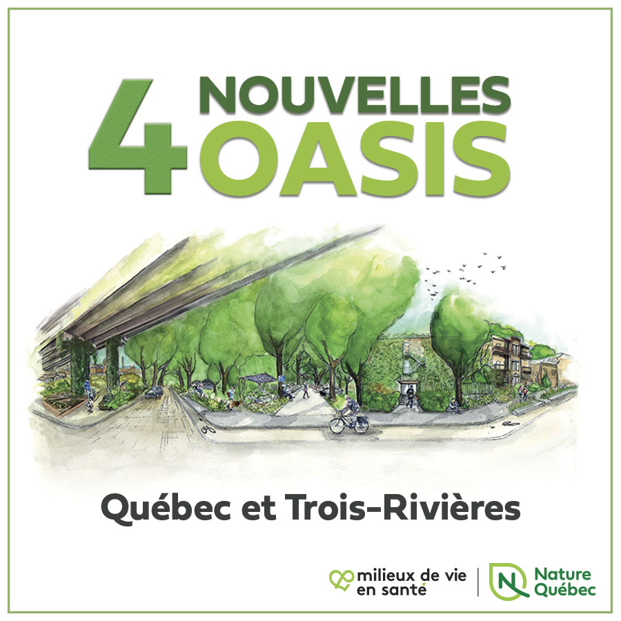 Communiqué -  Quatre nouvelles Oasis à Québec et Trois-Rivières