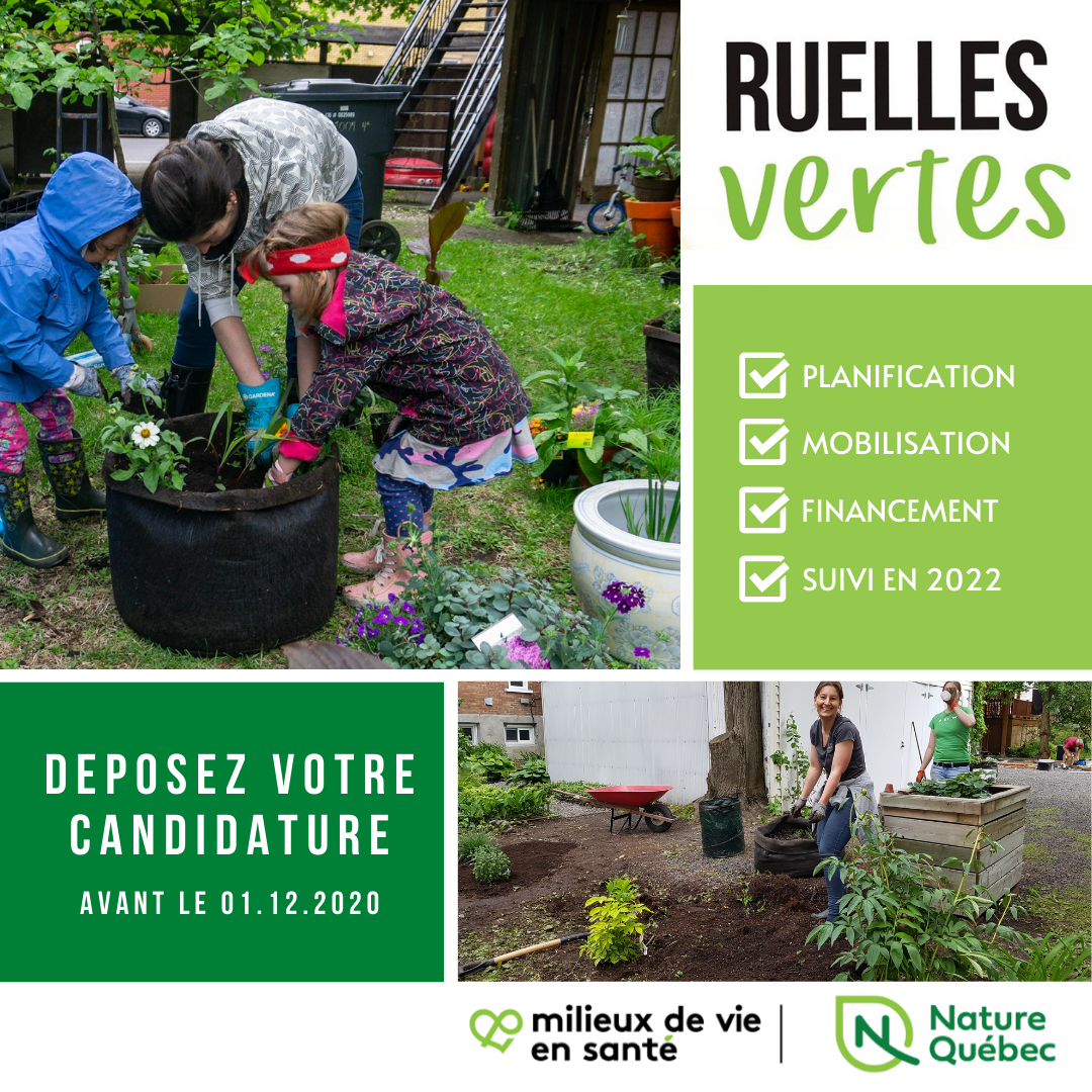 Communiqué -  5e édition du projet "Ruelles Vertes" : Quand la santé passe par nos ruelles
