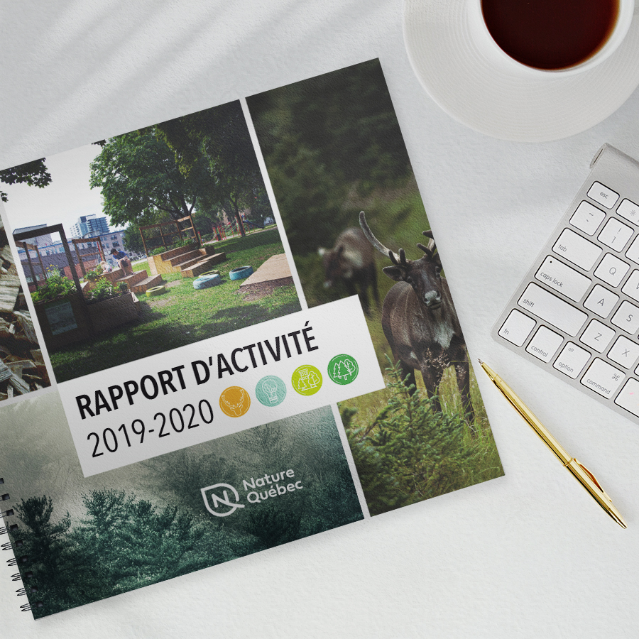 Image du rapport d'activités 2019-2020 de Nature Québec