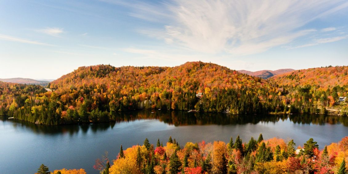 forêt du québec en automne