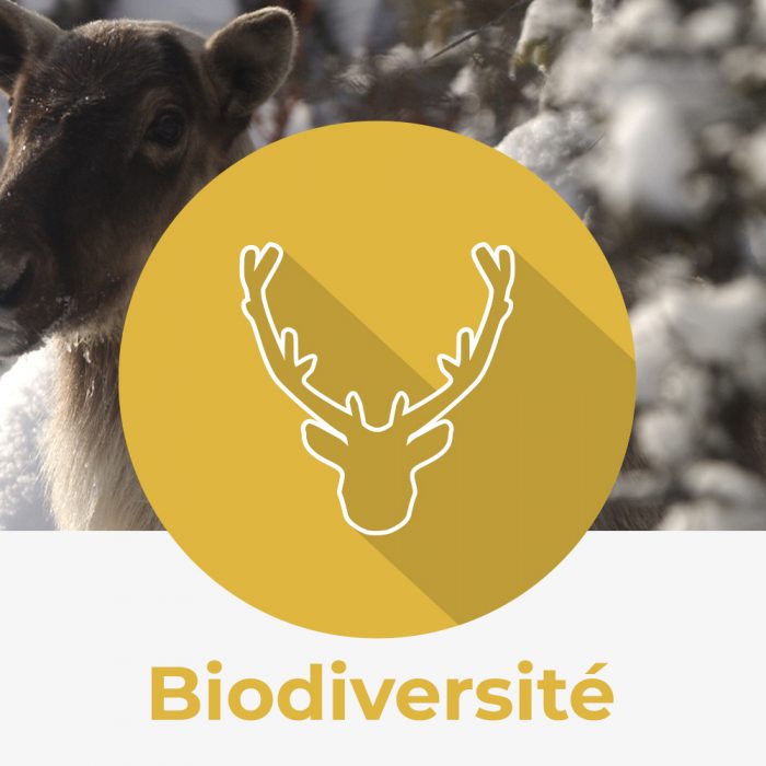 Icône biodiversité nature québec