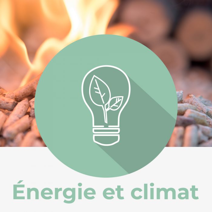 Icône énergie et climat nature québec