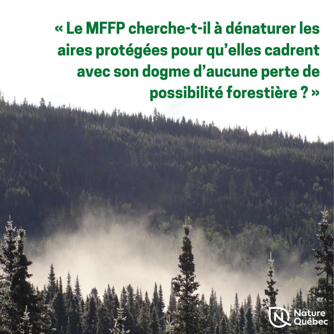 Communiqué - Le ministre des Forêts cherche à dénaturer la nouvelle catégorie d’aire protégée d’utilisation durable pour qu’elle cadre avec son dogme, dénonce Nature Québec