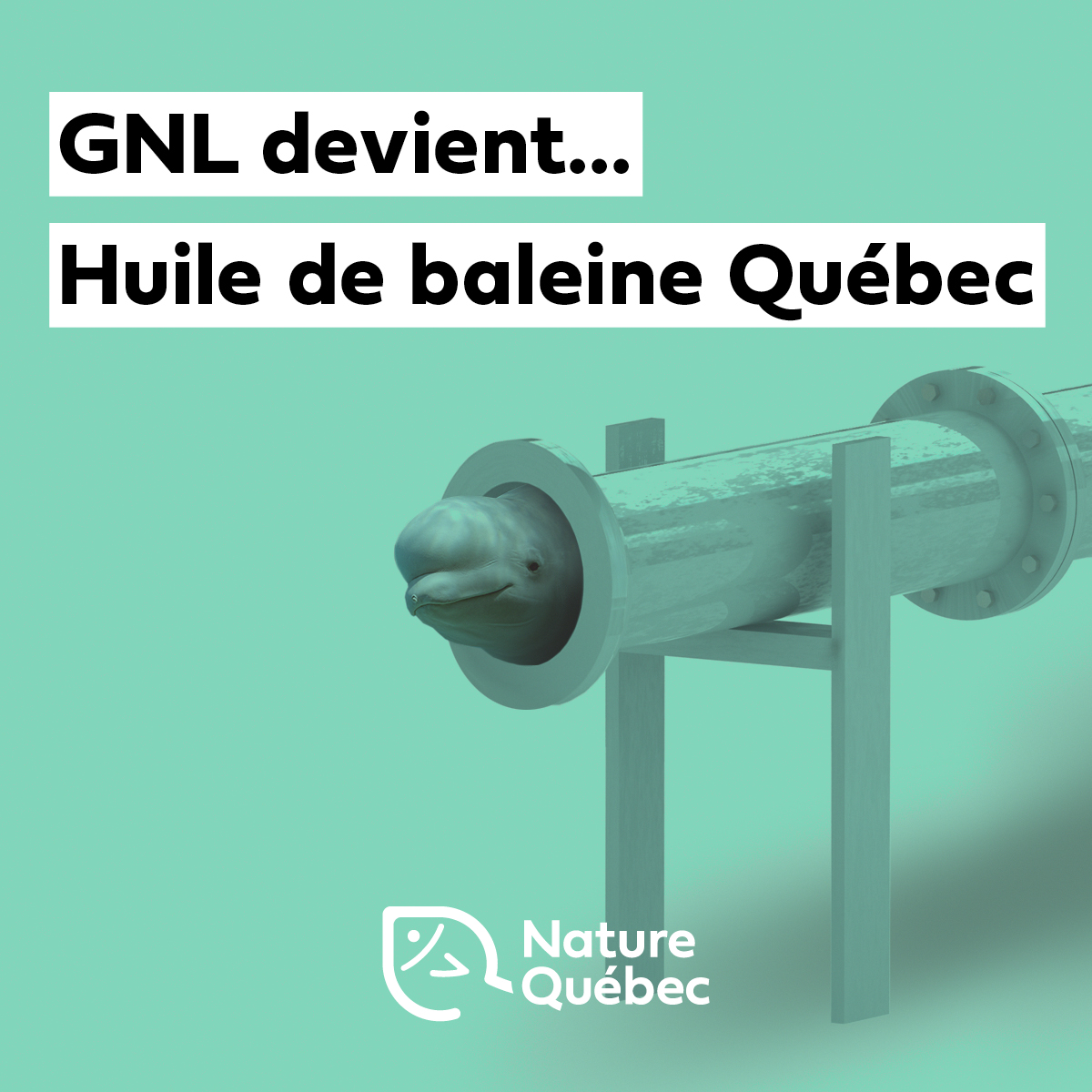 Communiqué - Tournant le dos au gaz, le projet GNL devient  Huile De Baleine Québec