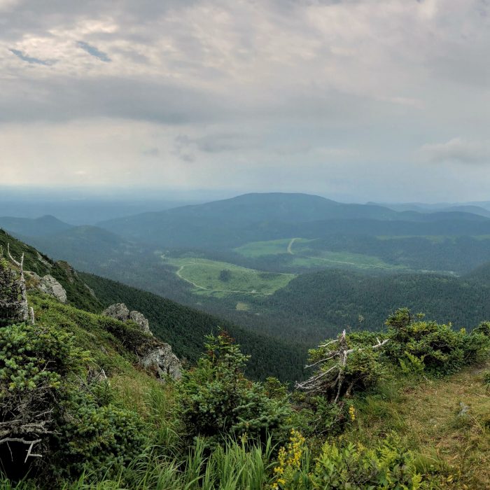 Sommet_du_mont_Blanc_(Gaspésie)-felix-mathieu-begin-carre