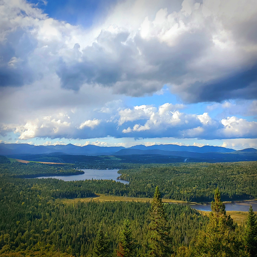 L'anse à la montée du lac