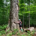 Sentier du coureur des bois