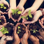 Faire un don pour l'environnement