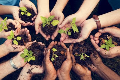 Faire un don pour l'environnement