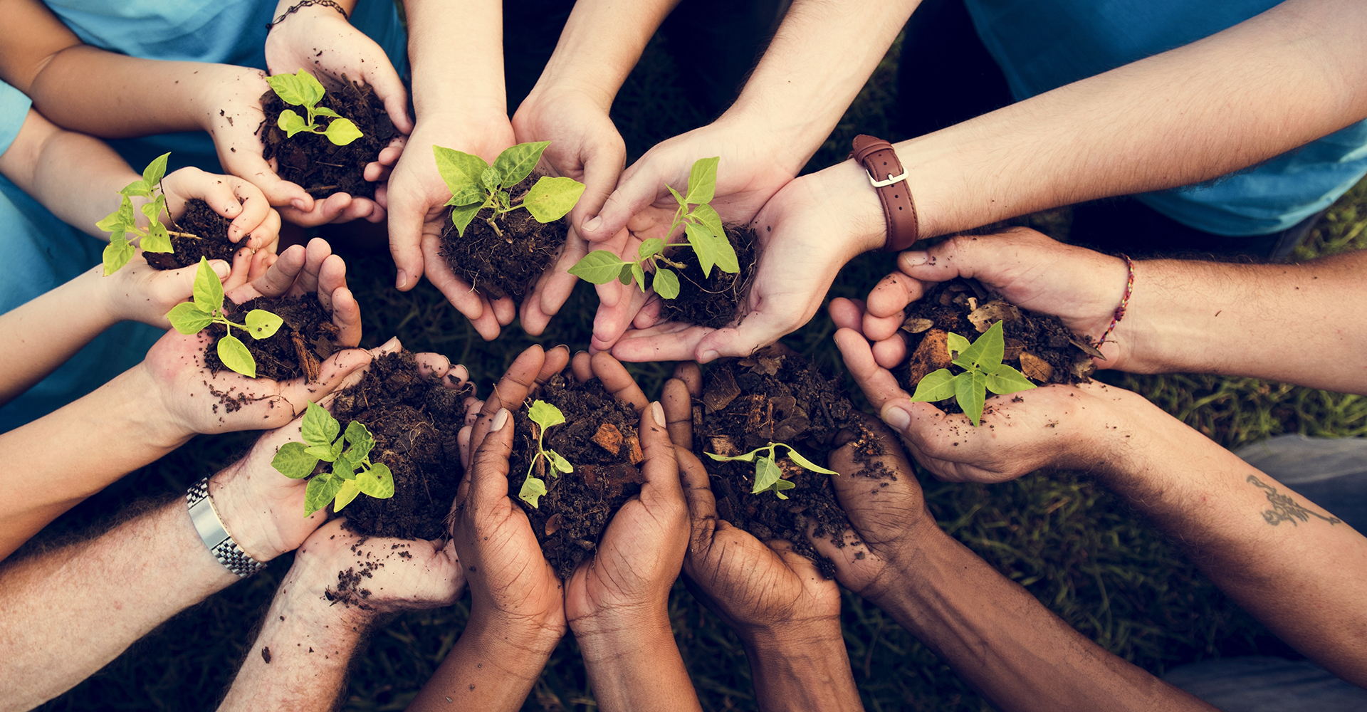Faire un don pour l'environnement