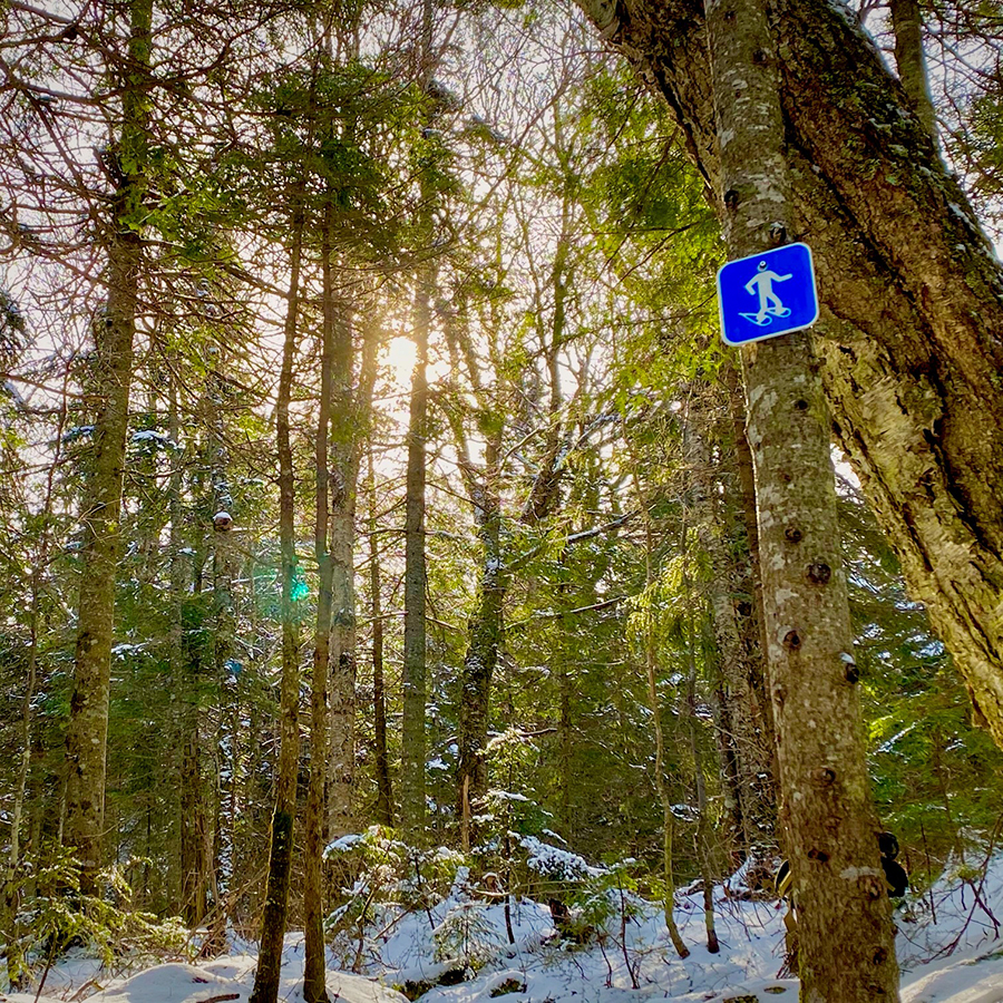 Parcours de la vieille forêt