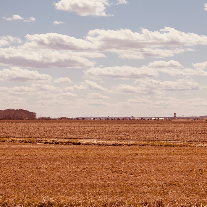 Milieu agricole_Sébastien Fortier_Unsplash-crop