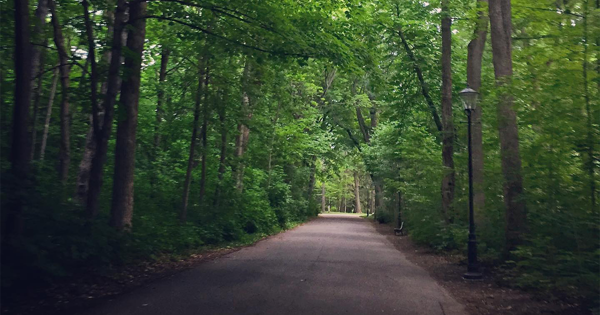 Sentier dans un parc urbain, Bois de coulonge