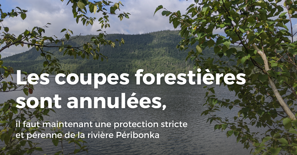 Communiqué - Les coupes forestières sont annulées, il faut maintenant une protection stricte et pérenne de la rivière Péribonka