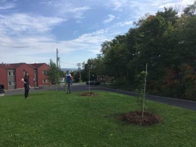 Plantation ce matin au Centre de protection et de réadaptation pour les jeunes en difficulté d’adaptation à Lévis