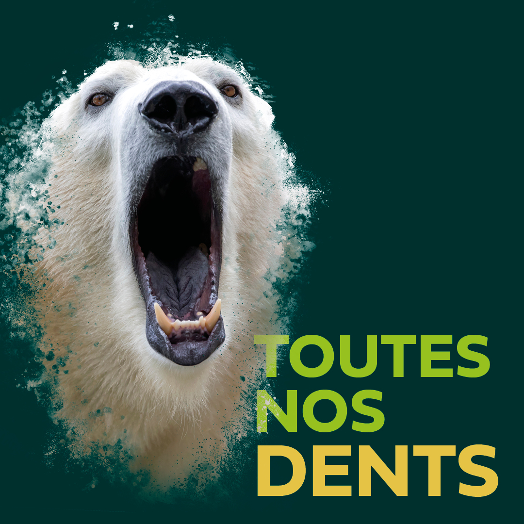 Communiqué - “Toutes nos dents” Nature Québec célèbre ses 40 ans!