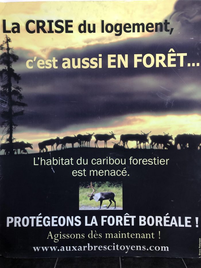 Affiche_arbres-citoyens