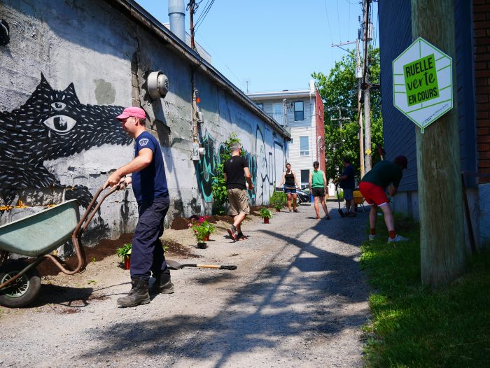 6 bons coups de Nature Québec en 2021