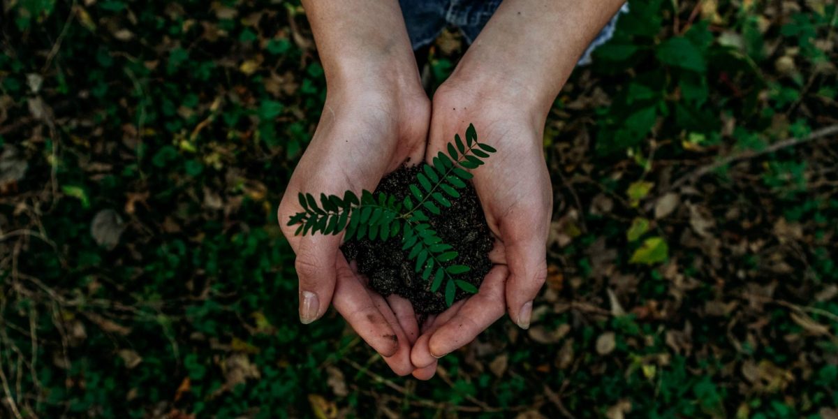 PH_mainsnature_unsplash_2021