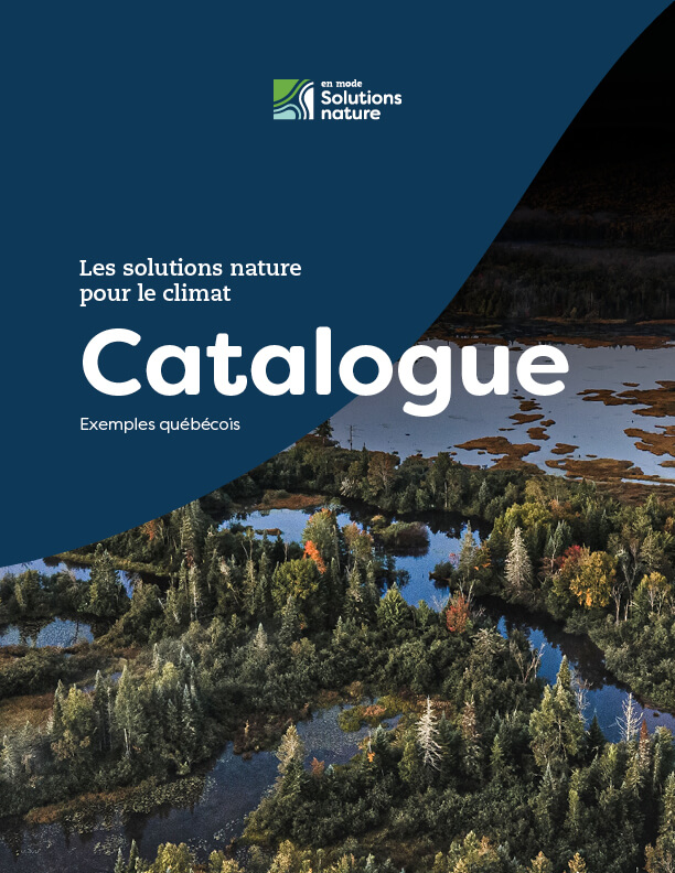 web_cataloguesolutionsnature-mockuppage1_20220426