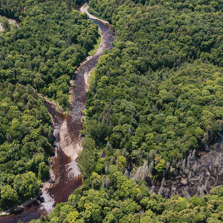 Jonction des rivières du Chêne et Henri et bras mort de la rivière du Chêne (à droite).