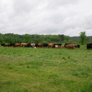 PH_solutionsnature_fermeagricultureregeneratrice_20220609-06_72dpi