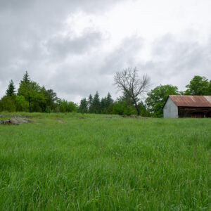 PH_solutionsnature_fermeagricultureregeneratrice_20220609_72dpi-02