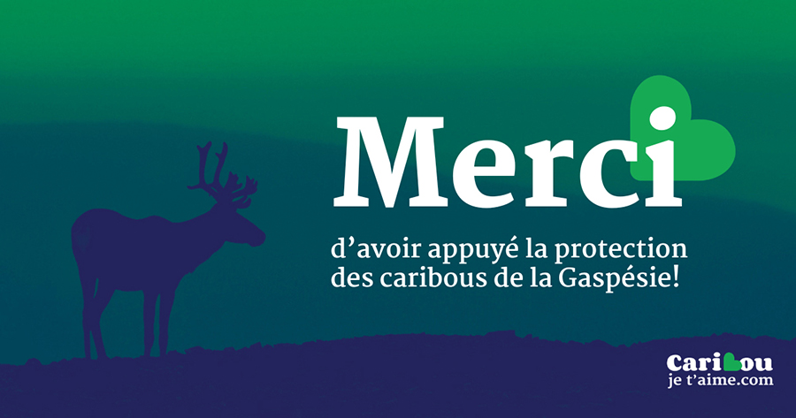 Dépôt de la pétition Caribou, je t’aime
