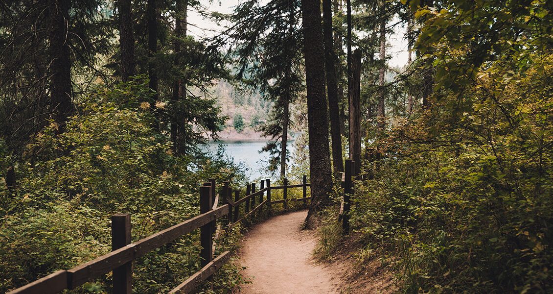 PH_Sentier_Unsplash-1130x800