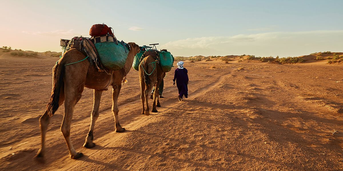 PH_desert_fabien-bazanegue-unsplash
