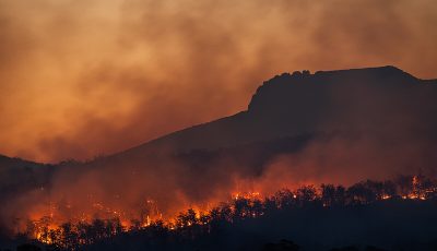 PH_feuxforet-Australie_matt-palmer-unsplash