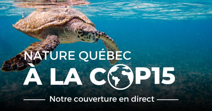 COP15: notre analyse en direct