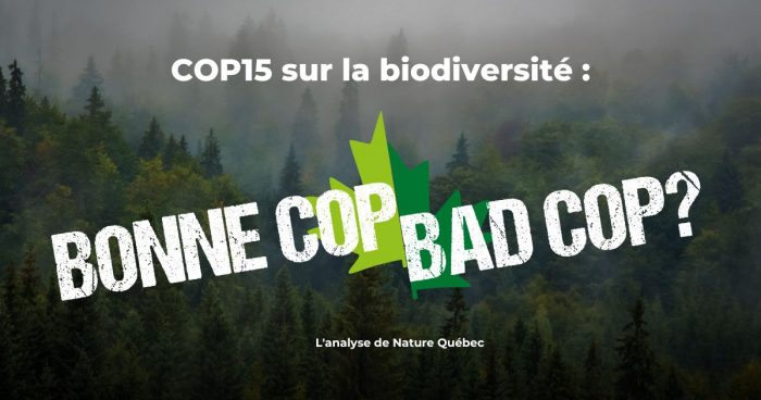 La COP15 : bonne ou bad COP?