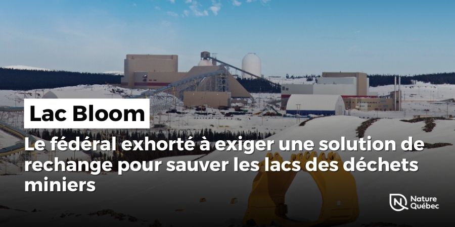 Lac Bloom : Le fédéral exhorté à ne pas précipiter de décision et à exiger une solution de rechange pour sauver les lacs condamnés à devenir des poubelles à déchets miniers