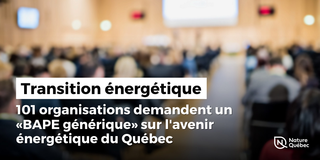 101 organisations demandent un « BAPE générique » sur l'avenir énergétique du Québec